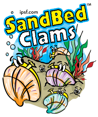 sandbed clams